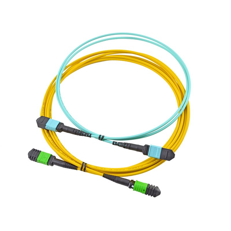 Prix de Gros 2020 Fc To Fc Patch Cord – Cordon de brassage MPO / MTP – Qualfiber