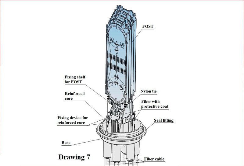 dfg (5)