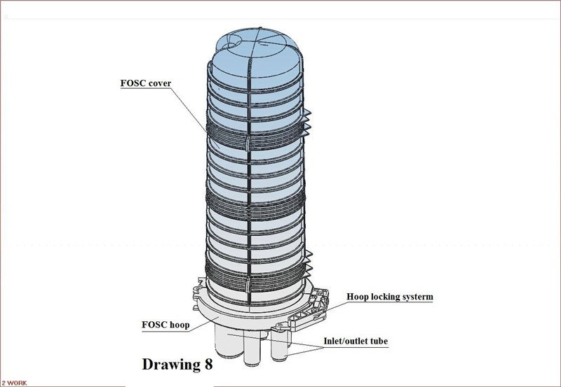 dfg (1)
