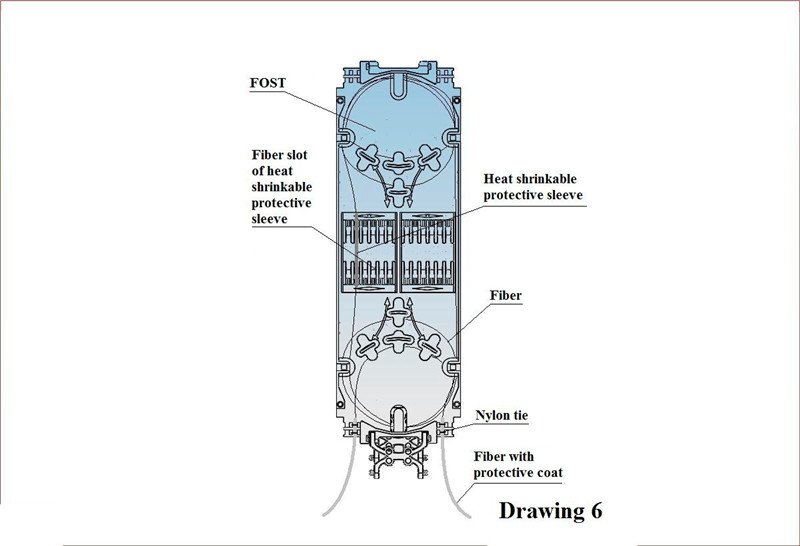 dfg (7)